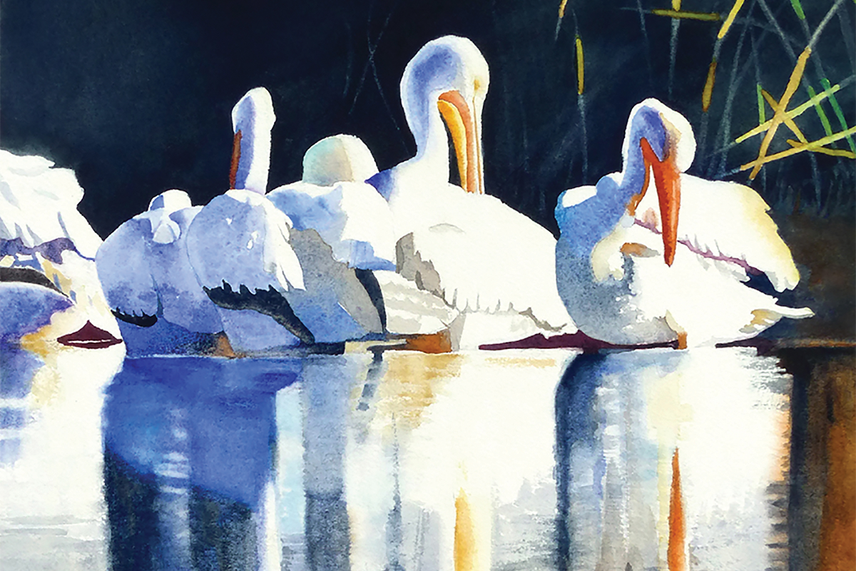 Pelicans at the Bosque by Jane Fritz