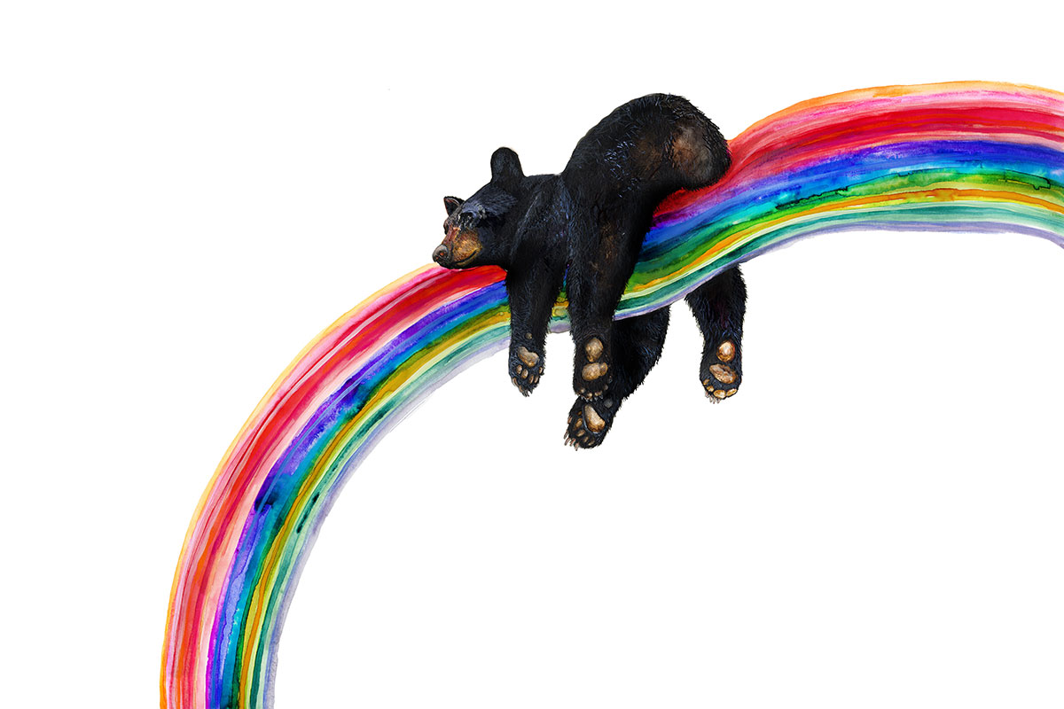 Black bear resting on a rainbow painting by Lily Cain