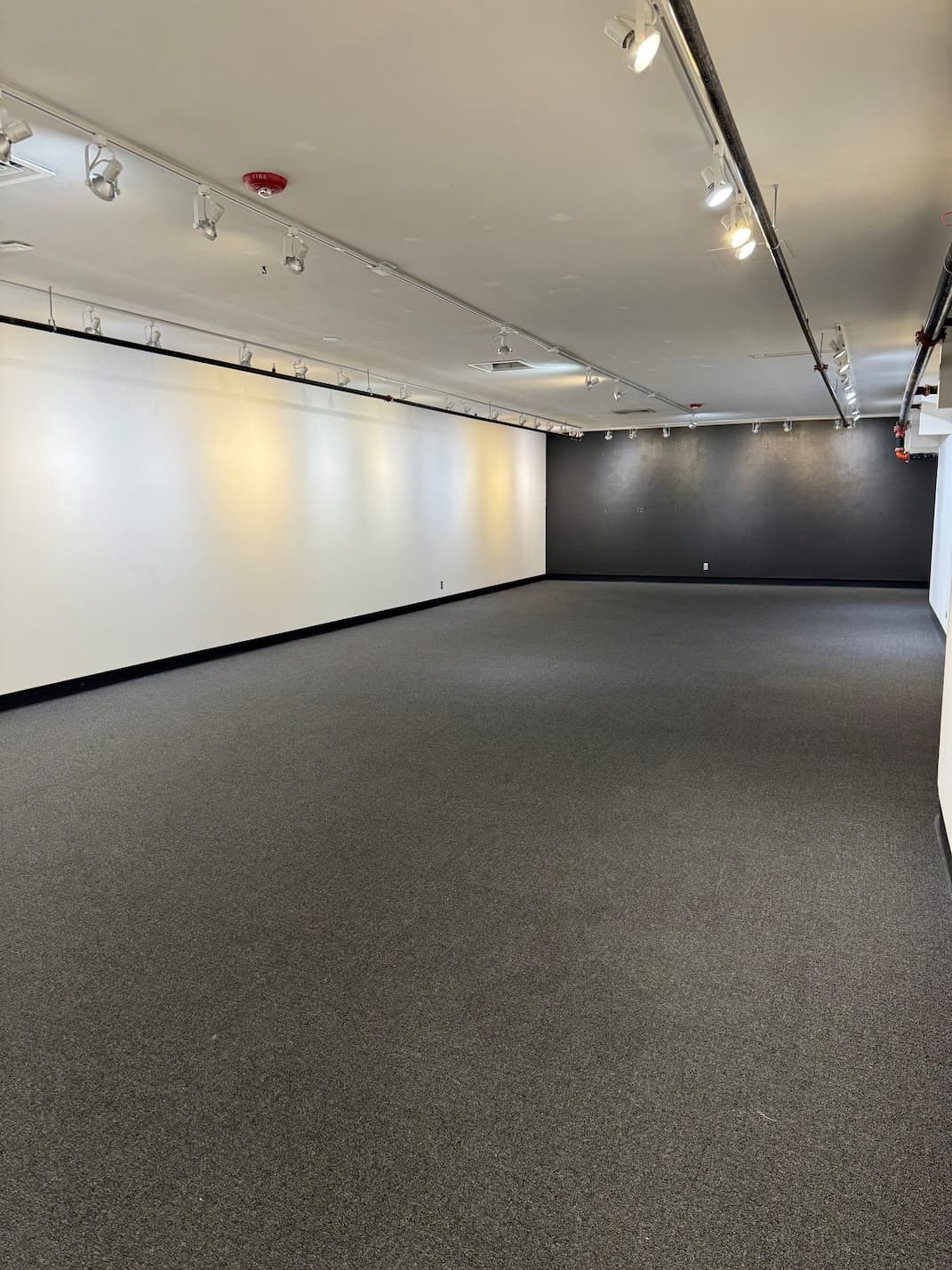 Gould Gallery Corner 1