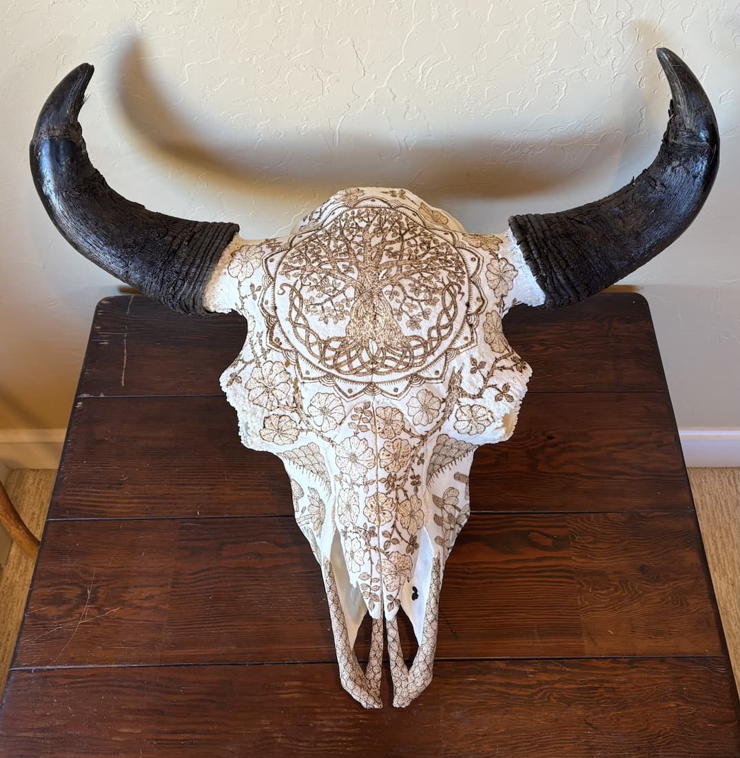 Resilience by Bert Poling