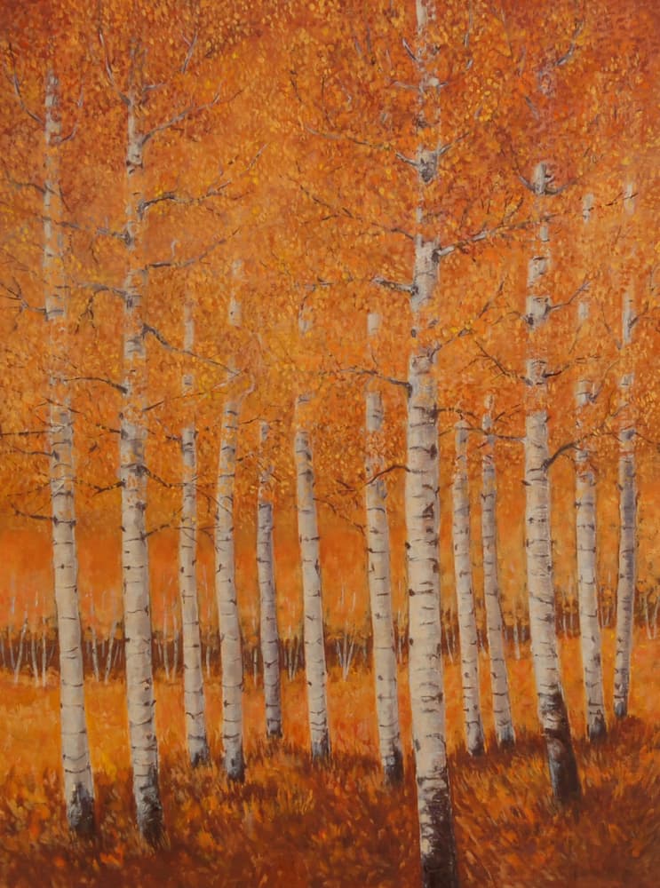 "Fall Aspen Trees" by Clarence Prinster