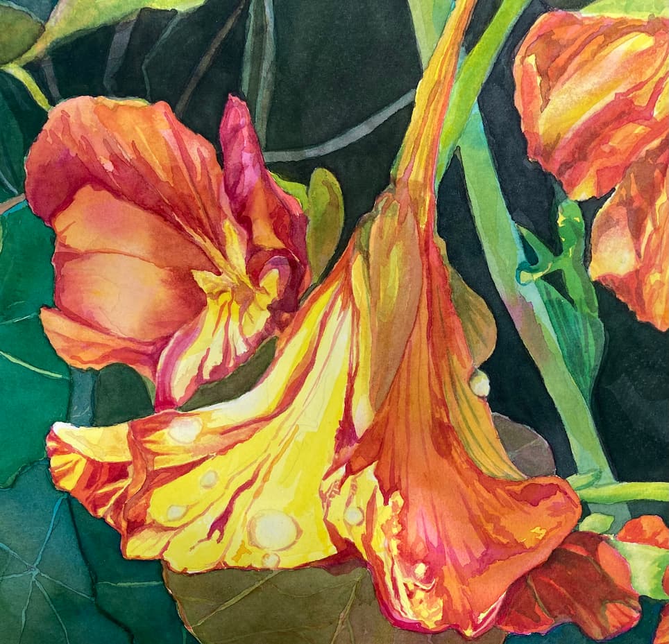 Watercolor Painting by Marti Cyrus