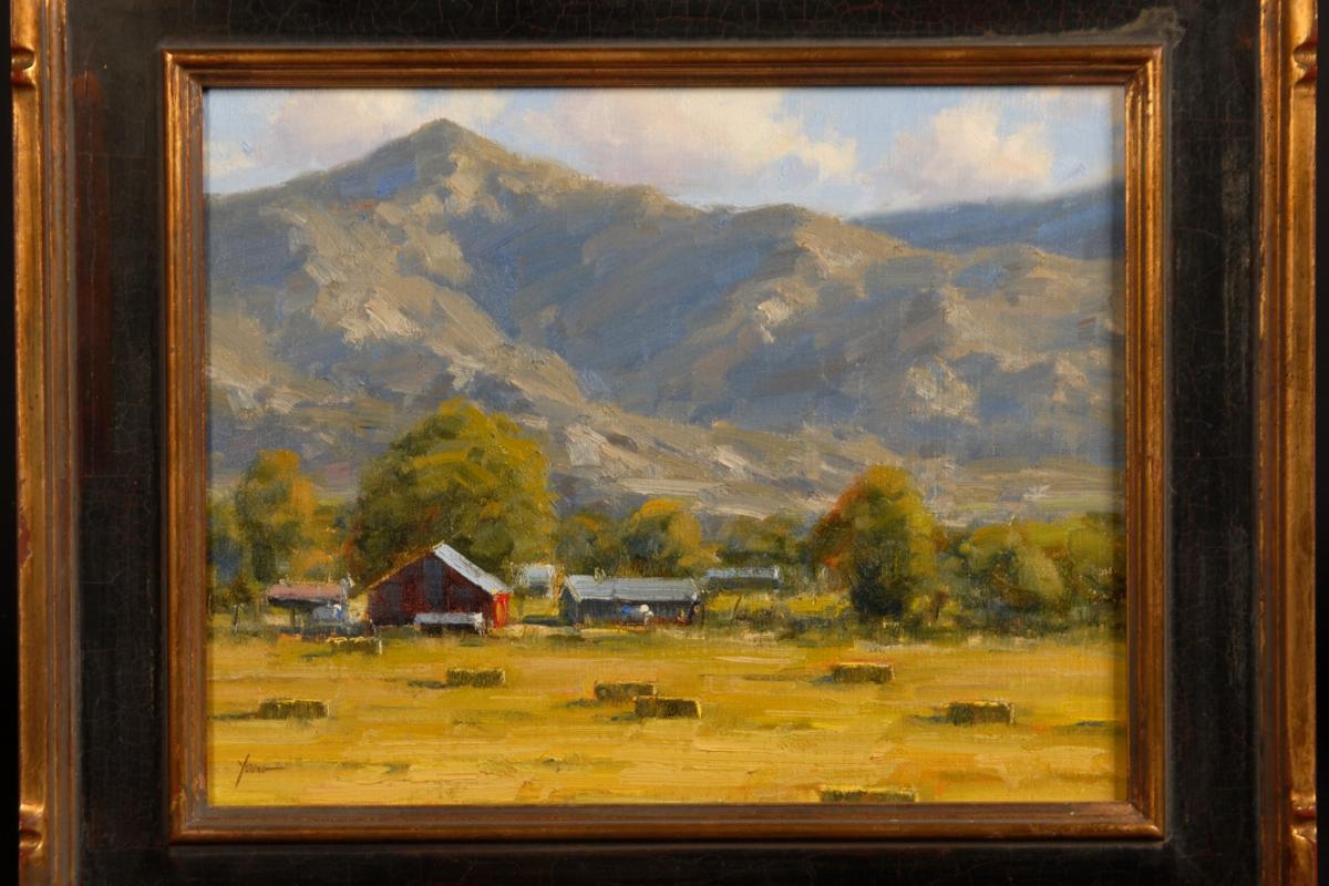 Dan Young, Western Colorado Harvest