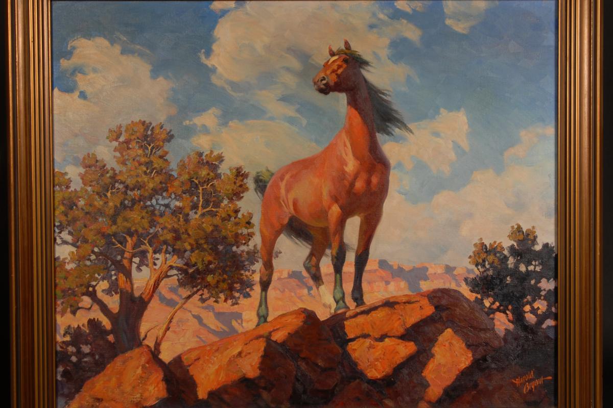 Harold E. Bryant, Canyon Stallion