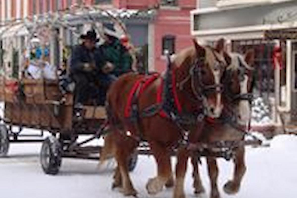 Georgetown Horse-Drawn Wagon