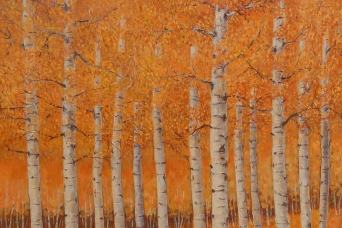 "Fall Aspen Trees" by Clarence Prinster