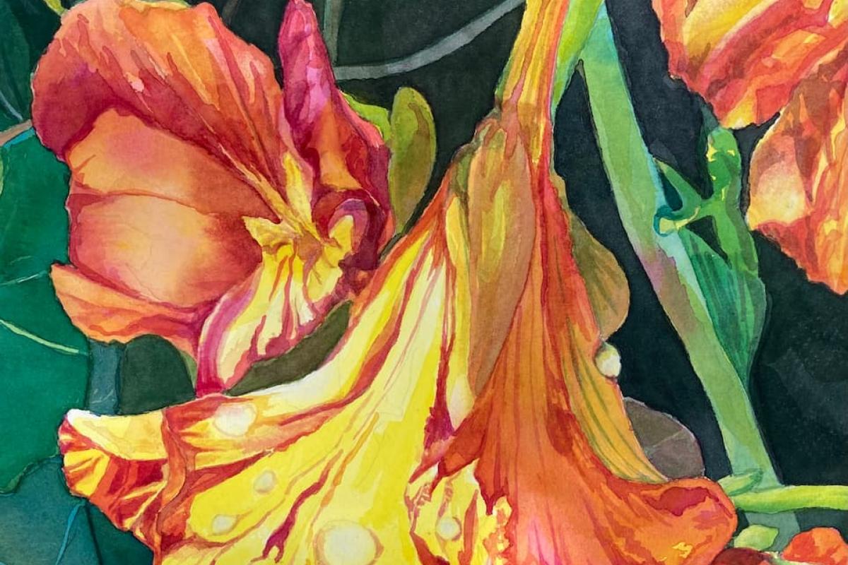Watercolor Painting by Marti Cyrus